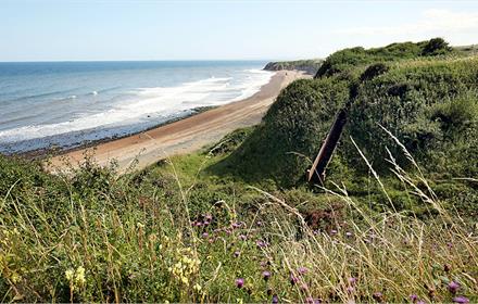 View of Nose's Point