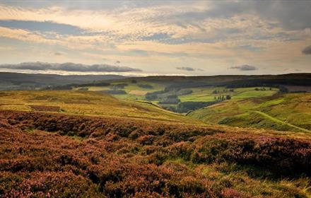 Autumn hills at North Pennines Area of Outstanding Natural Beauty (AONB)