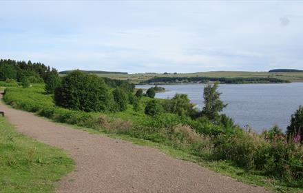 Pow Hill Country Park