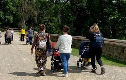 A group of women with pushchairs going for a walk in the sunshine