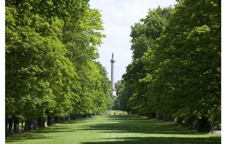 Trees and a part area at National Trust - Gibside