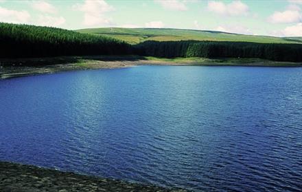 Balderhead Reservoir Trout Fishery