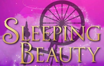 Illustration of a spinning wheel and text which says, 'Sleeping Beauty'.