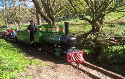 Train on the Thorpe Light Railway