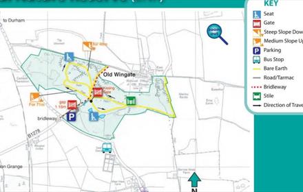 Wingate Quarry Local Nature Reserve Walk