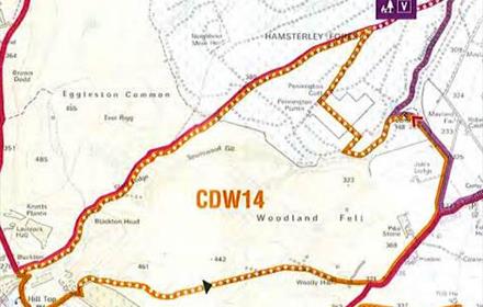 Woodland Fell Circular Cycle Route