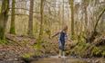 A child walking through a stream in the forest. Forestry England.