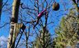 A person jumping from a wooden ledge on a tree on some high ropes activities