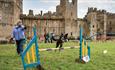 Black dog jumping over an agility jump at bark in the park event at Raby Castle.