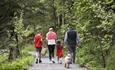 Family walking through the High Force woodlands