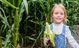 A child holding some corn in the maze