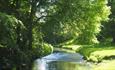 View of River Guanless in Auckland Castle Deer Park