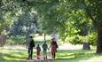 family walking hand in hand through the green lush trees at Auckland Castle Deer Park