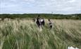 People planting trees in a field