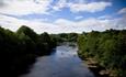 River and Woodland in Barnard Castle