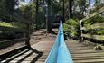 Blue slide at Broom House Forest Adventure.