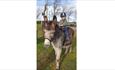 A child on a grey coloured donkey stood on grass with bare trees in the background and a blue sky.