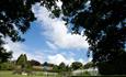 Open grassland at the Botanic Gardens