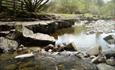 River at Bowlees Picnic Area