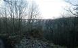 The viaduct at Castle Eden Dene National Nature Reserve