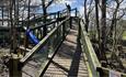 View of the climbing frame at Broom House Forest Adventure.