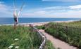 The beach banks at Crimdon