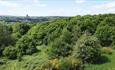 Image of Pelaw Wood overlooking Durham Cathedral in the distance.