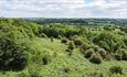 Image overlooking the countryside around Pelaw Wood.