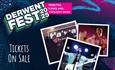 Derwent Fest 2025 poster displaying some of the acts