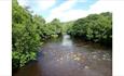 The Durham Fly Fishing Company River Tees