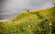 Beach banks at Horden