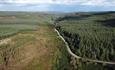 Aerial view showing track through forest