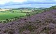 Hedleyhope Fell: Image of rolling hills on a clear, sunny day