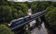 HST charter 43159 - Credit Dan Millard