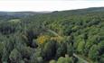 Aerial view of Hamsterley Forest in Autumn. Forestry England