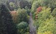 Aerial view of hamsterley forest