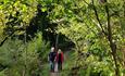 A couple walking through ancient woodland at Hawthorn Dene.