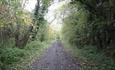 Hunwick country lane.