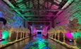 A colourful room lined with fairy lights and  blossom