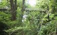 Trees and bridge
