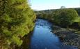 River Tees