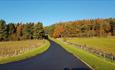 Derwent Waterside Park hill up to reservoir