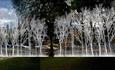 The Garden of Shadows Jony Easterby (UK) Trees illuminated in white light
                

