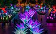 Gigantic illuminated flowers in various colours.  Elysium Garden - Jigantics (UK)