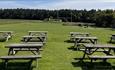 View of the playing field at Broom House Farm showing tables, the fort, maze and forest adventure in the background.