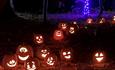 Lit pumpkins in the forest