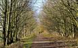 Image of countryside Railway Path: Wingate to Trimdon.