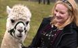 Meet an alpaca at Teesdale Alpacas near Barnard Castle