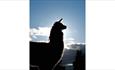 The silhouette of an alpaca with a blue sky and clouds behind
