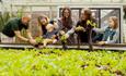 A group of adults and children handling plants with a member of staff at Durham University Botanic Garden.